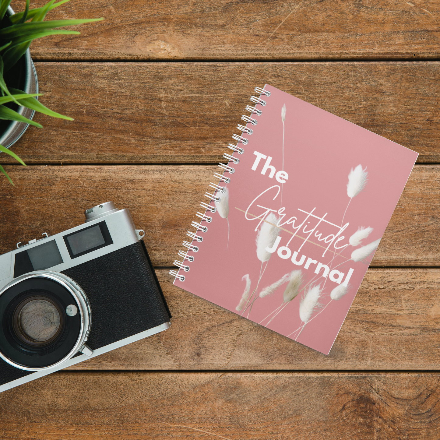 The Gratitude Journal (KDP compatible + free course)