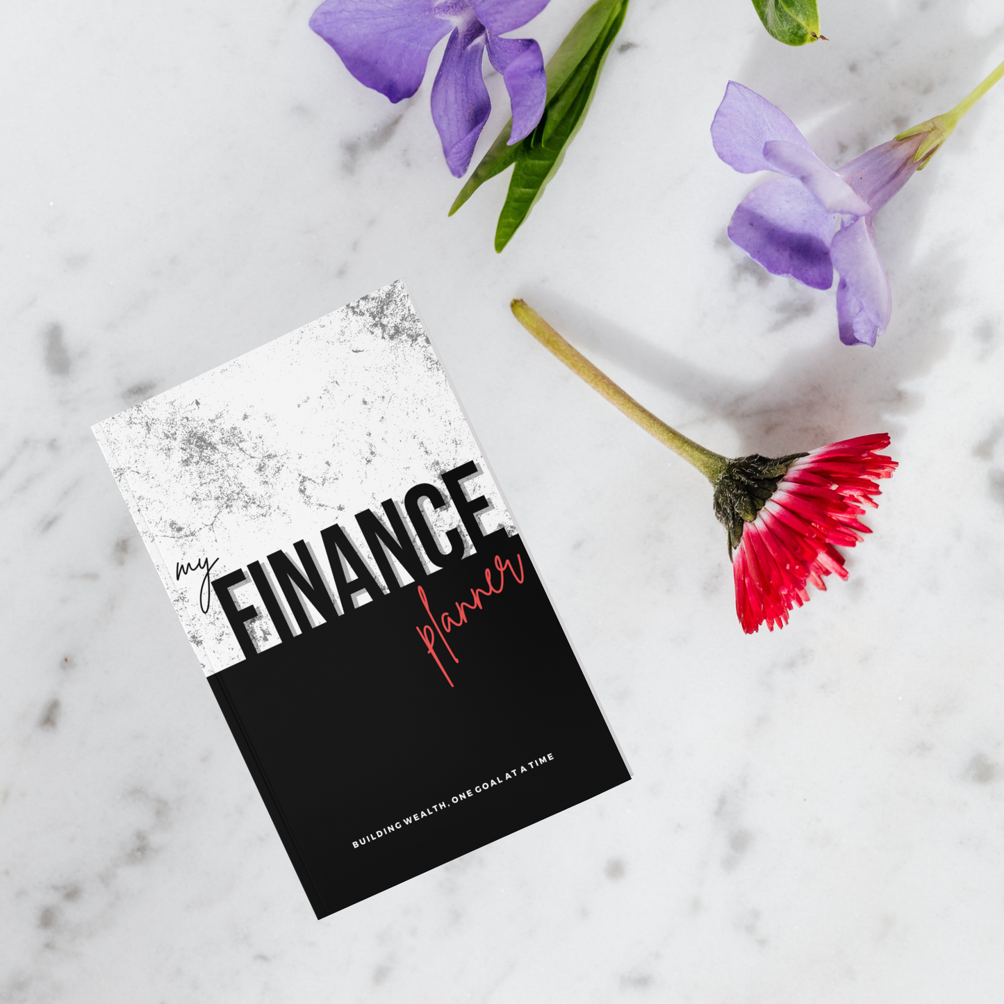 My Finance Planner (KDP compatible + free course)