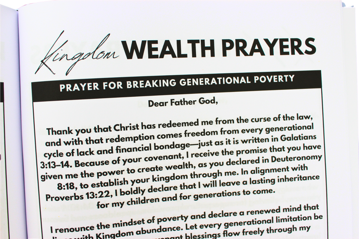 Kingdom Wealth Planner: Steward Money Well, Save Boldly and Walk in Overflow