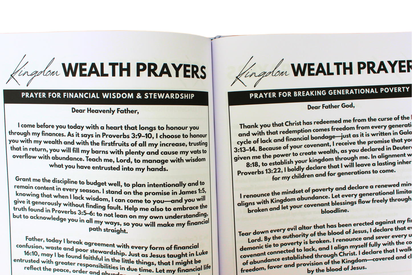 Kingdom Wealth Planner: Steward Money Well, Save Boldly and Walk in Overflow