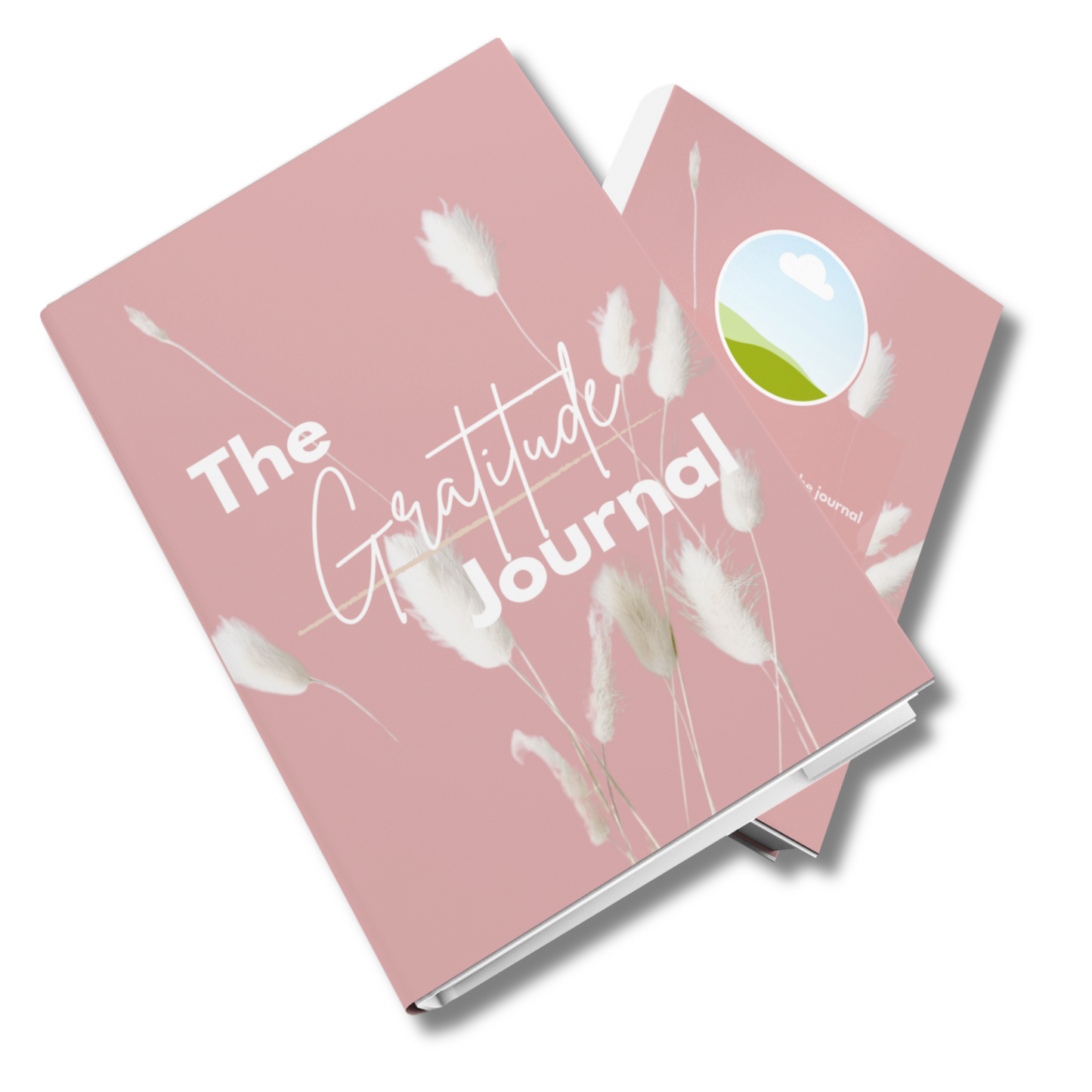 The Gratitude Journal (KDP compatible + free course)