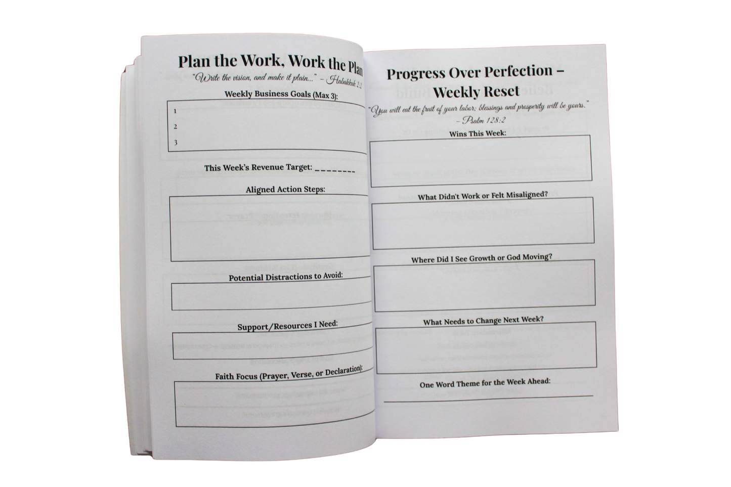 Purpose-to-Profit Action Planner (90-day business execution planner)